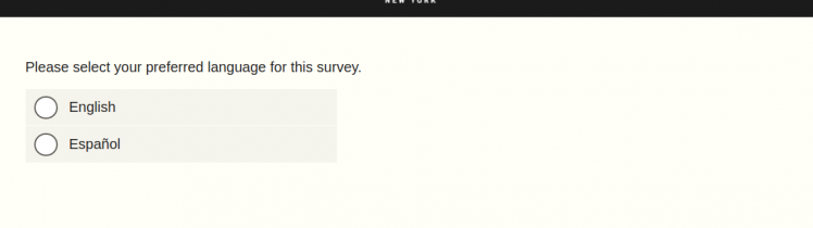 Abercrombie Fitch Survey